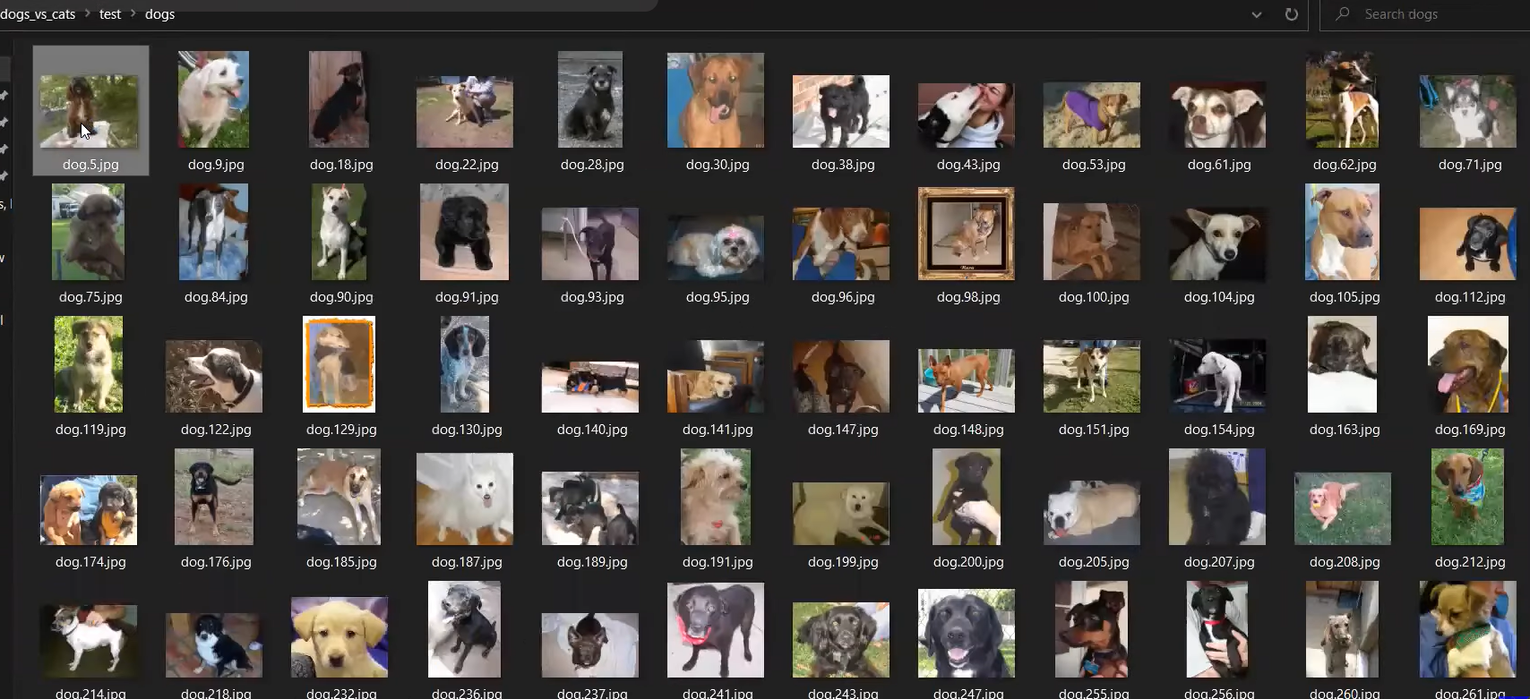Classification of Cats and Dogs Images — image 2